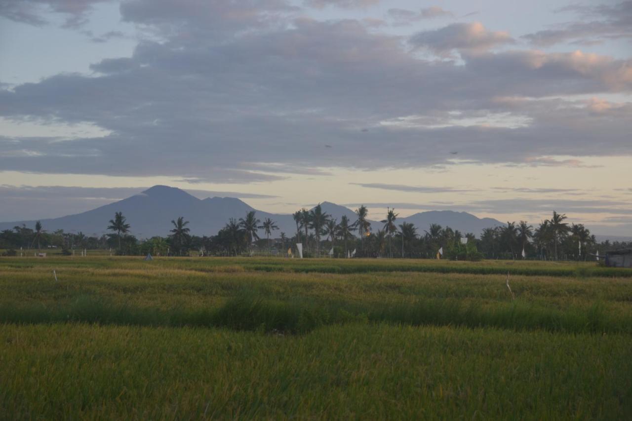Bali Harmony Retreat Aparthotel Canggu  Luaran gambar