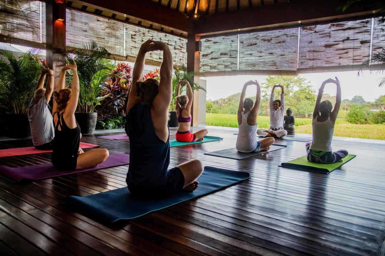 Bali Harmony Retreat Aparthotel Canggu  Luaran gambar