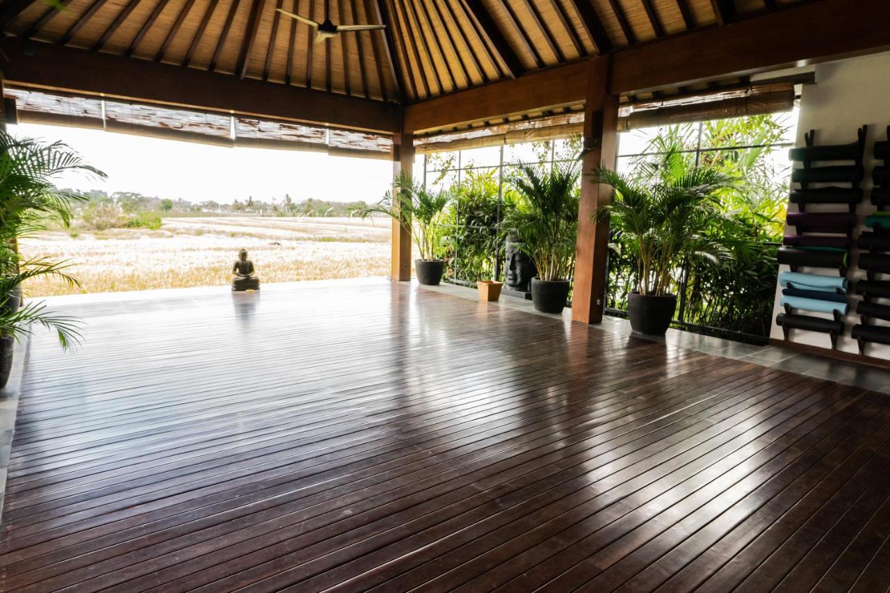 Bali Harmony Retreat Aparthotel Canggu  Luaran gambar